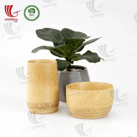 Bamboo Tea Cup Wholesale Bulk Order