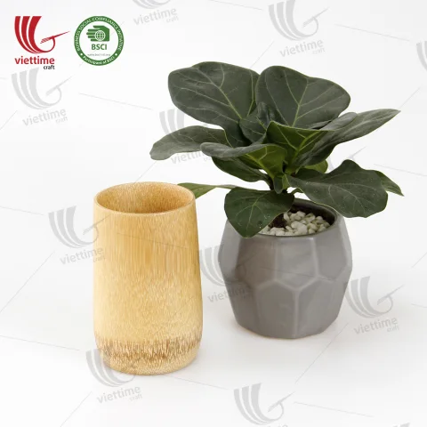 Bamboo Tea Cup Wholesale Bulk Order