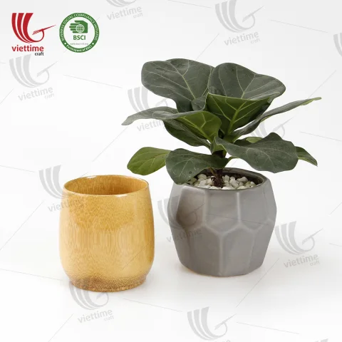 Bamboo Tea Cup Wholesale Bulk Order