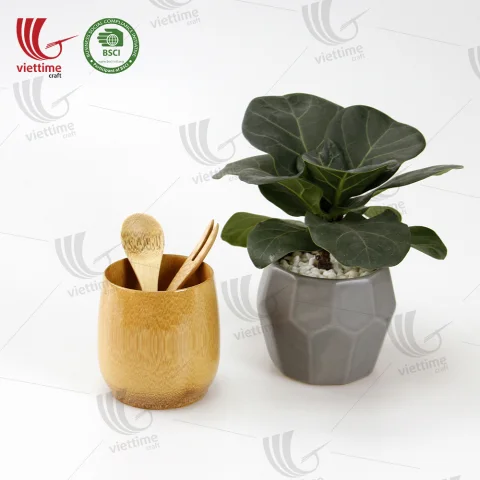 Bamboo Tea Cup Wholesale Bulk Order
