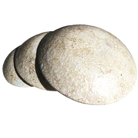 Spun Bamboo Plate