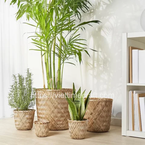 Bamboo Plant Holder