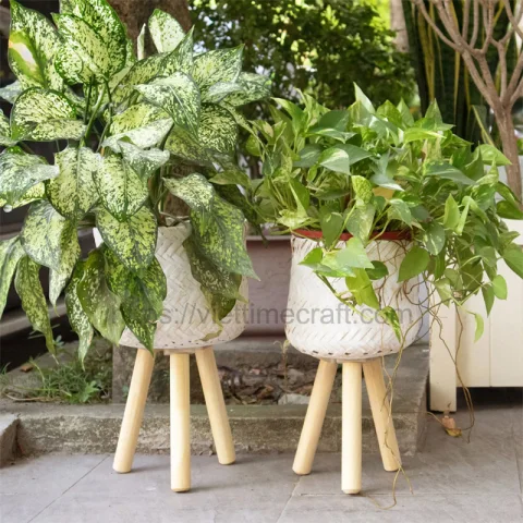 Bamboo Plant Stand