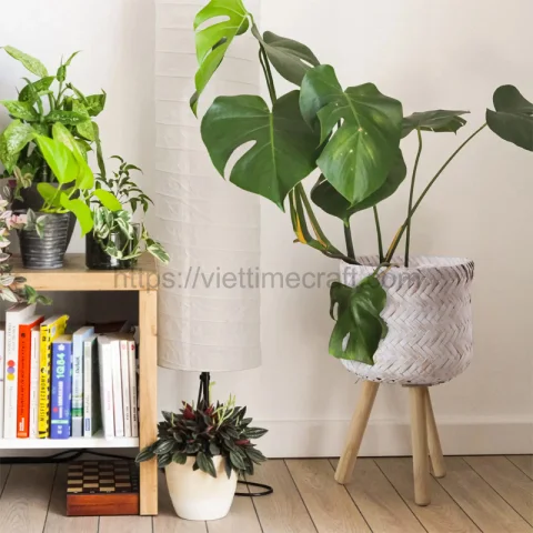 Bamboo Plant Stand