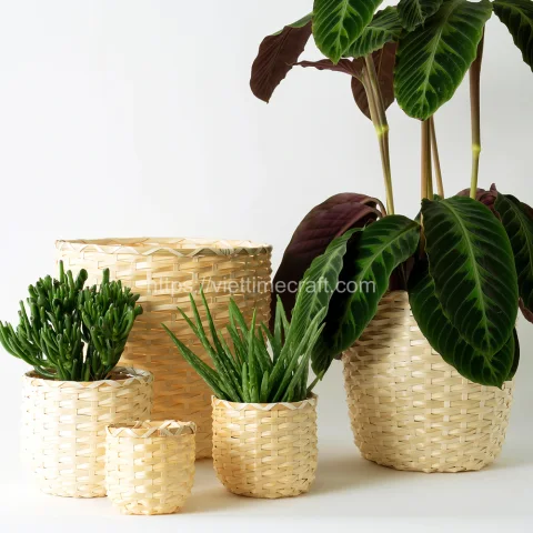 Bamboo Plant Holder