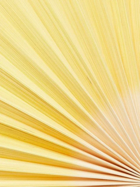 Bamboo Wall Fan Hanging