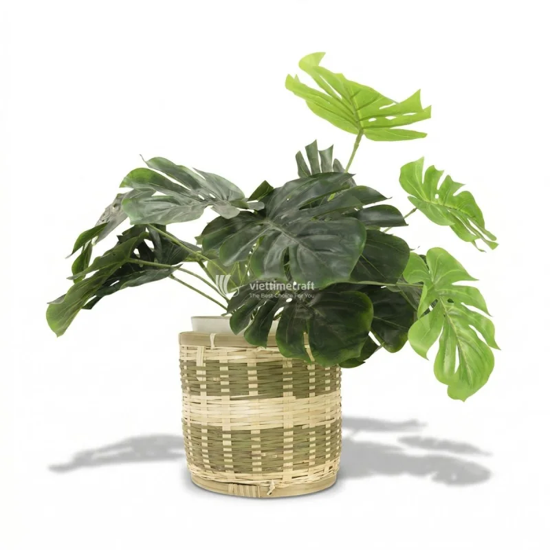 Eco Friendly Bamboo Planter Vietnam Manufacturer
